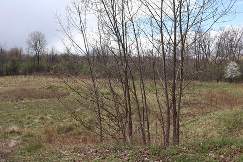 Chief Pontiac Speedway (Lake Angelus Speedway) - The Lot In April 2021 (newer photo)